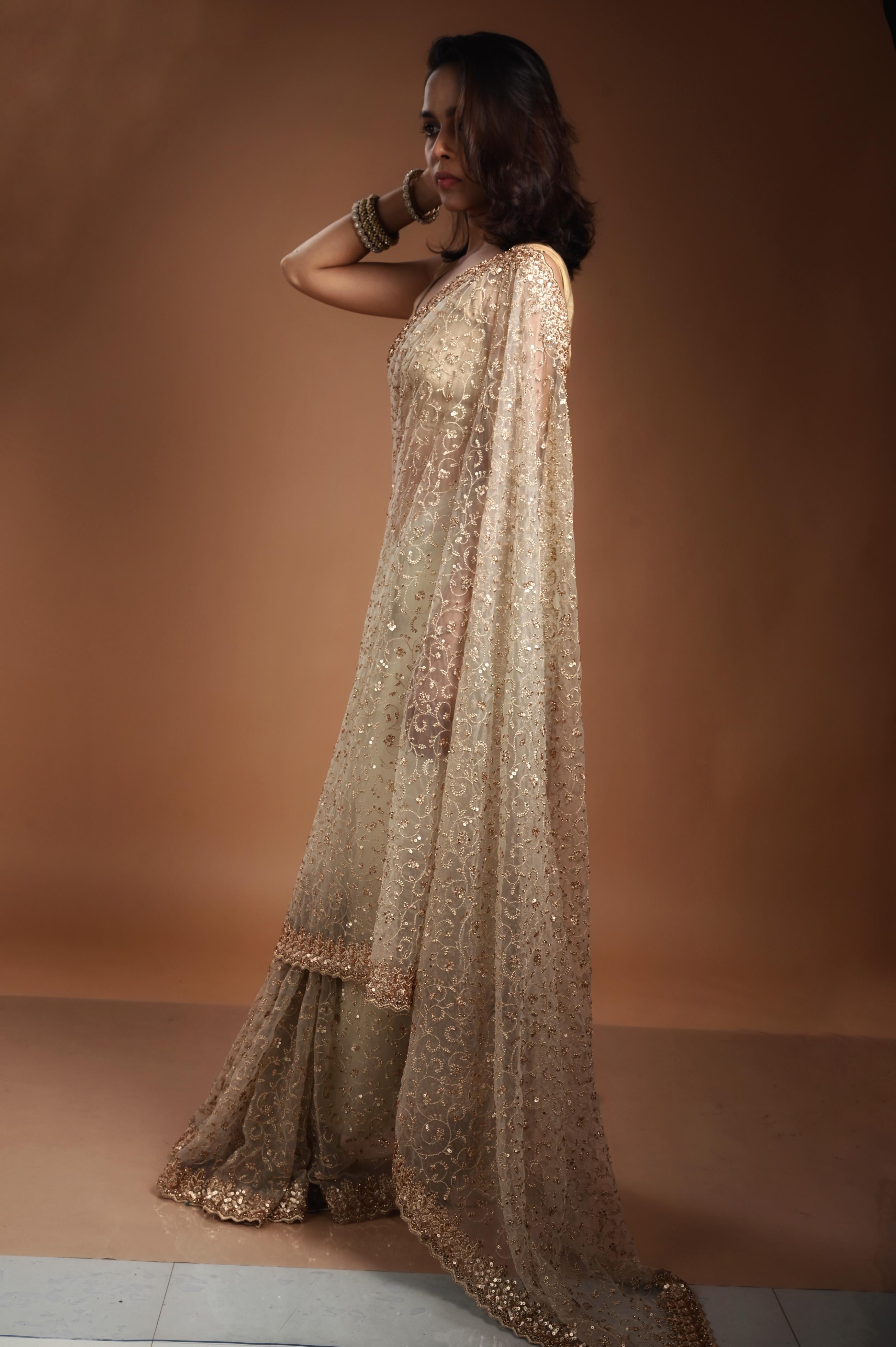 Aqua Sheer Embroidered Saree